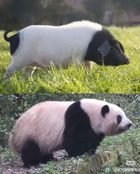 Gen Z - Ảnh 5.