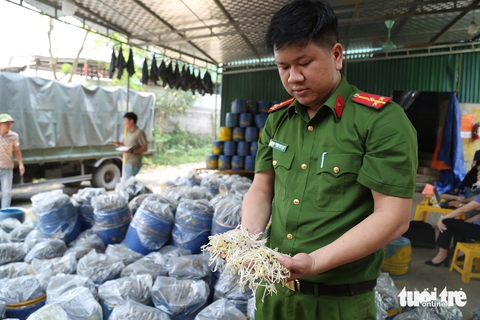 giá đỗ - Ảnh 1.