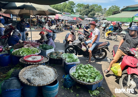 giá đỗ - Ảnh 2.