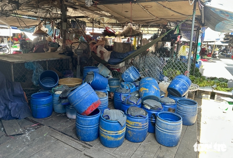 giá đỗ - Ảnh 3.