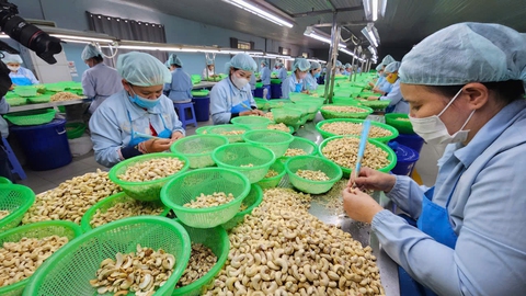 Tranh thủ Mỹ hoãn áp thuế, doanh nghiệp Việt đưa thêm giải pháp - Ảnh 2. áp thuế - Ảnh 3.