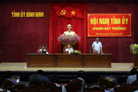 Bình Định - Ảnh 1.