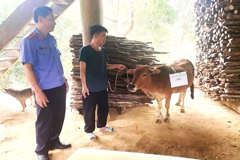 xét nghiệm ADN - Ảnh 1.