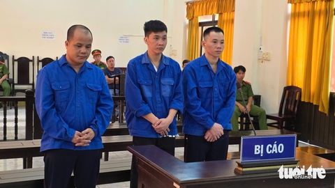 ma tuý - Ảnh 1.