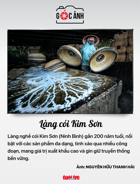 tin tức - Ảnh 7.