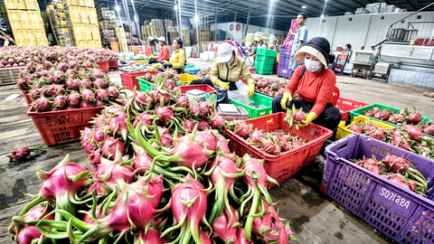 Tranh thủ Mỹ hoãn áp thuế, doanh nghiệp Việt đưa thêm giải pháp - Ảnh 1.