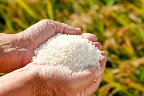 Giá trị dinh dưỡng của các loại gạo thế nào, chọn loại nào là tốt cho sức khỏe? - Ảnh 1.