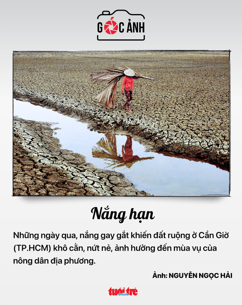 phạt nguội - Ảnh 8.