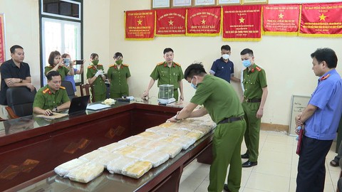 ma túy - Ảnh 5.