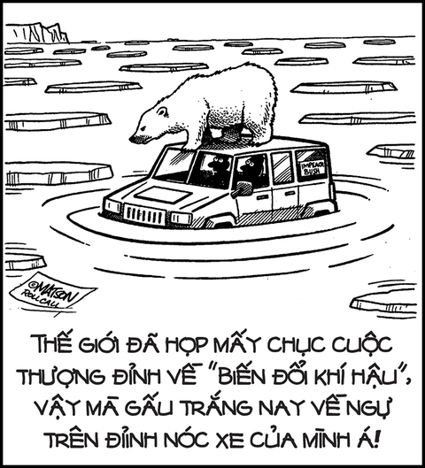 băng - Ảnh 3.