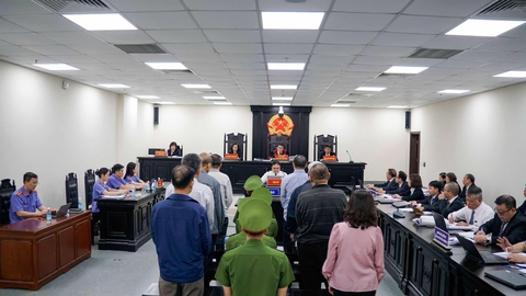 Tổng Công ty Chè - Ảnh 2.