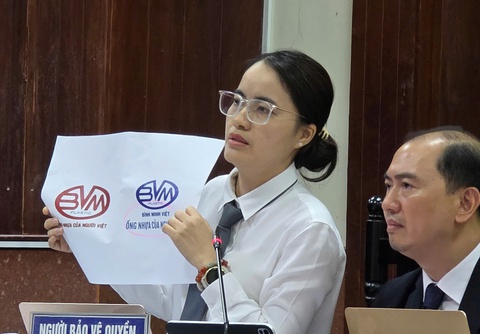 Tòa án: 'Nhựa Bình Minh và Bình Minh Việt không gây nhầm lẫn cho người tiêu dùng' - Ảnh 1.