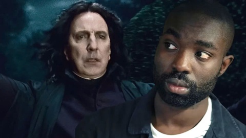 Harry Potter - Ảnh 3.
