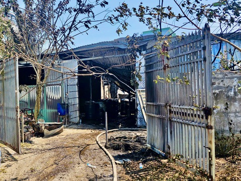 Quy Nhơn - Ảnh 3.