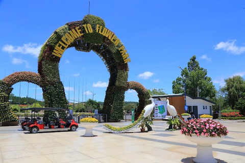 đà lạt - Ảnh 1.