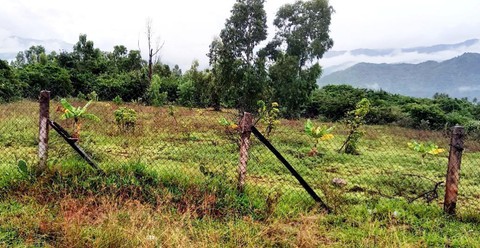 dân kiện - Ảnh 3.