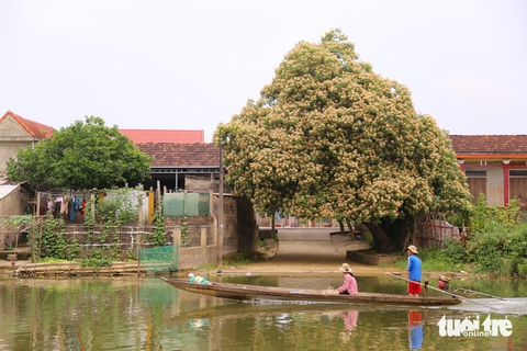 đặt tên - Ảnh 1.