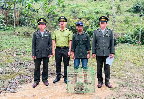 Sau hơn 4 tháng mỏi mòn, cán bộ kiểm lâm ở Huế đã có lương - Ảnh 1.