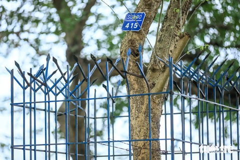 công viên - Ảnh 3.