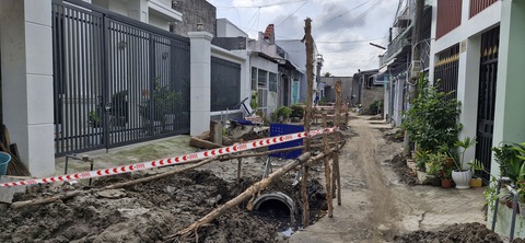 đào đường - Ảnh 1.