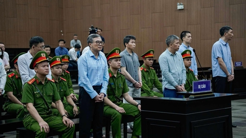 Hoàng Quốc Vượng - Ảnh 1.