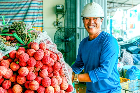 Vải thiều Bắc Giang có tỉ lệ đậu quả 'khủng', sản lượng ước trên 165.000 tấn - Ảnh 1.