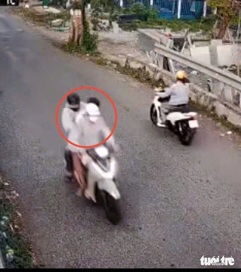 cướp giật tài sản - Ảnh 1.