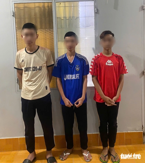 cướp giật tài sản - Ảnh 2.