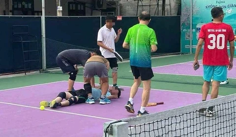 Pickleball - Ảnh 1.