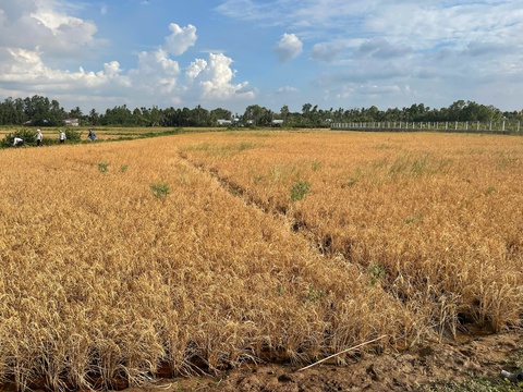cao tốc - Ảnh 1.