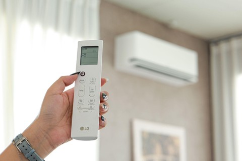 LG - Ảnh 1.