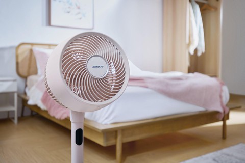 Acerpure Cozy - Ảnh 2.