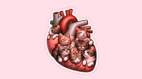 Quiz - Ảnh 1.
