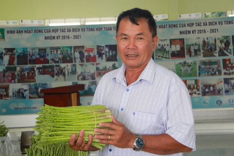 Sáp nhập Khánh Hòa - Ninh Thuận: Nông nghiệp vươn tầm, rộng mở cơ hội - Ảnh 4. Sáp nhập Khánh Hòa - Ninh Thuận: Rong nho, xoài, bưởi, chôm chôm, sản phẩm nông nghiệp 'bát ngát' - Ảnh 4.