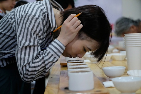 Nông dân vùng Cầu Đất Đà Lạt đoạt giải nhất cà phê arabica Việt Nam - Ảnh 3.