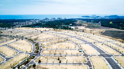 Nhà đất Quy Nhơn sốt theo nhập tỉnh, hồ sơ giao dịch tăng 65% - Ảnh 2.