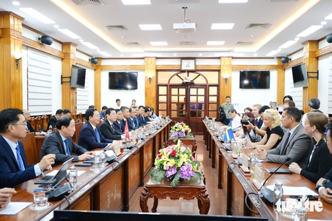 Bình Định - Ảnh 3.
