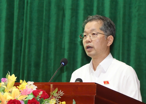 ĐÀ NẴNG - Ảnh 1.