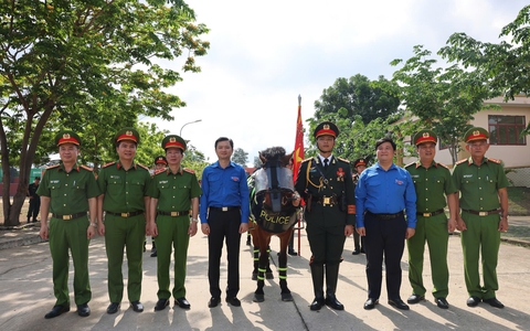 kỵ binh - Ảnh 1.