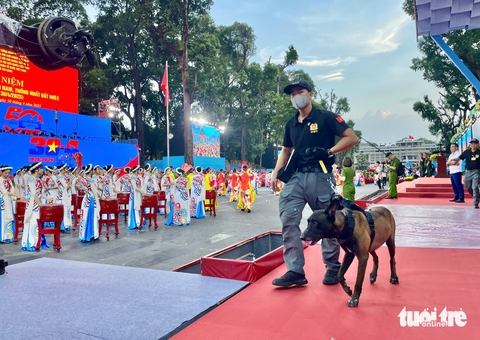 sơ duyệt - Ảnh 33.