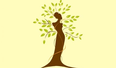 Quiz - Ảnh 1.