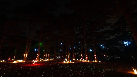 Danh thắng hồ Than Thở trở thành công viên ánh sáng Delight Park - Ảnh 6.