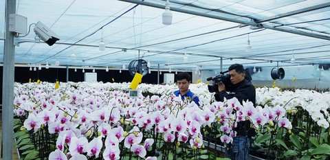 chuyển đổi số - Ảnh 3.