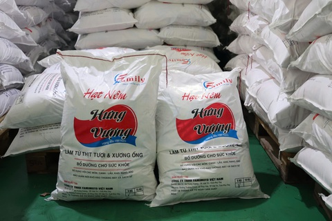 Famimoto - Ảnh 1.