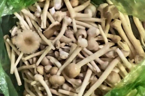 Phú Quốc - Ảnh 1.