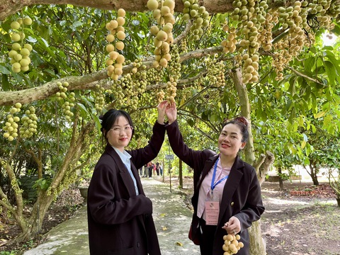 Ngồi ghe du lịch, thưởng thức món dân dã ở đô thị sông nước - Ảnh 4. Ngã Bảy - Ảnh 4.