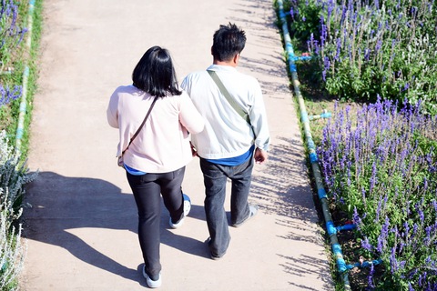 chuyện tình - Ảnh 1.