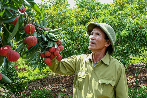 Kiều bào đóng vai trò quan trọng trong việc đưa hàng Việt Nam ra nước ngoài - Ảnh 1. Kiều bào đóng vai trò quan trọng trong việc đưa hàng Việt Nam ra nước ngoài - Ảnh 1.