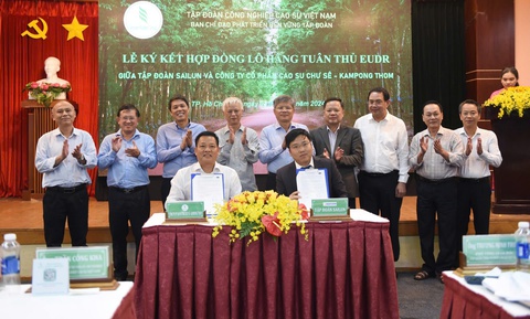 Tập đoàn Công nghiệp Cao su Việt Nam - Ảnh 3.