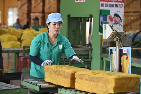 Tập đoàn Công nghiệp Cao su Việt Nam: Tăng trưởng xanh và phát triển bền vững là chiến lược chủ đạo - Ảnh 4.